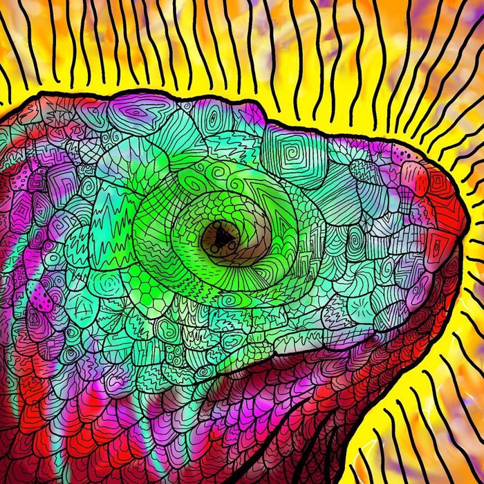 Colorful chameleon eye drawing